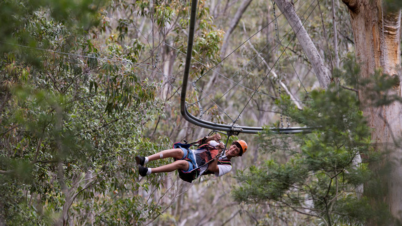 Illustration for article titled The World's Longest Zip Line Roller Coaster Looks Terrifyingly Awesome